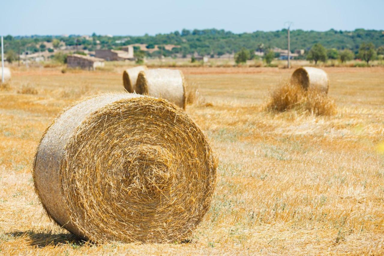 054 Finca Es Bosquerro Etv5362 By Mallorca Charme Santa Margalida Dış mekan fotoğraf